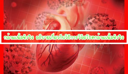 กล้ามเนื้อหัวใจ อธิบายเกี่ยวกับวิธีการวิจัยโรคกล้ามเนื้อหัวใจ