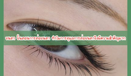 ขนตา ขั้นตอนการต่อขนตา ทำไมการดูแลการต่อขนตาจึงมีความสำคัญมาก